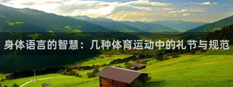 领航国际4平台