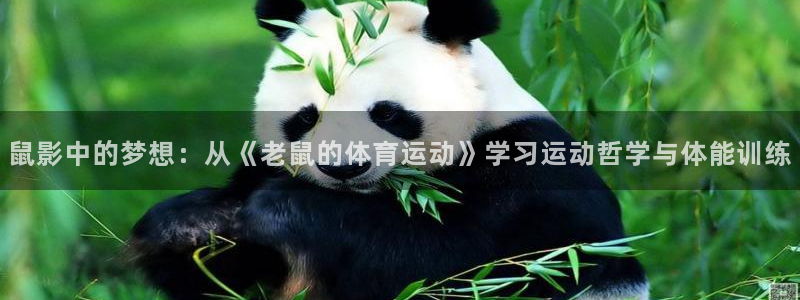 意昂包：鼠影中的梦想：从《老鼠的体育运动》学习运动哲学与体能训练