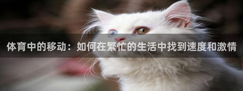 领航国际平台注册：体育中的移动：如何在繁忙的生活中找到速度和激情